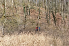 2020-01-31_Sprengtag_OÖ_074