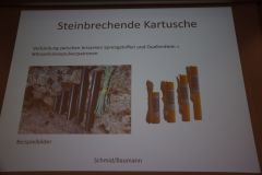 2025-02-21_Sprengtag_Sbg_Nr_42