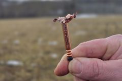 2026-01-30-Sprengtag-OOe-Nr070