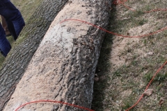 sprengtag-obersterreich-2014_24606898590_o