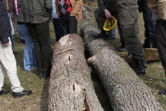 sprengtag-obersterreich-2014_24808992661_o