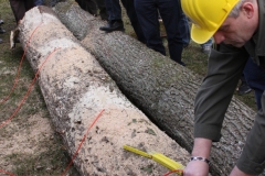 sprengtag-obersterreich-2014_24902376215_o