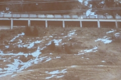 2017-03-03_sprengtag_salzburg_077_32879697520_o