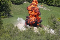 BWÜ PiKp MilKdo OÖ